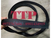 Gioăng cao su ống cống TG 19x25 D1200