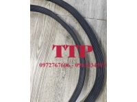 Gioăng cao su ống cống TG 19x25 D2900